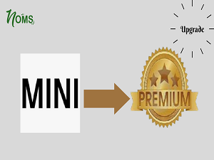 Mini to Premium Upgrade